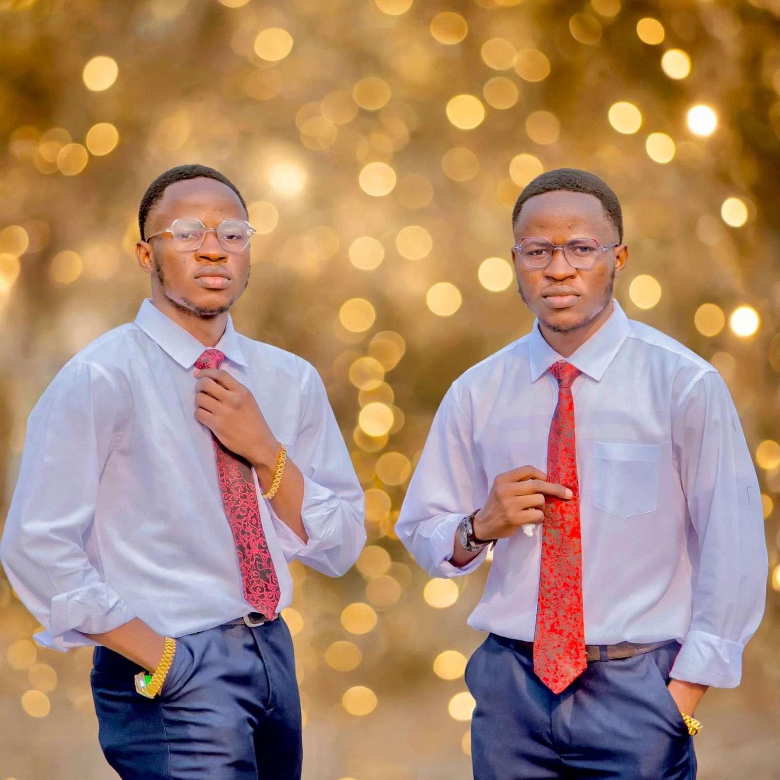 Les jumeaux de la promesse 